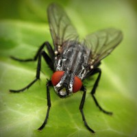 /album/leninka-on-the-road/photolia-a01-jpg/