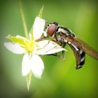 /album/leninka-on-the-road/photolia-a02-jpg/