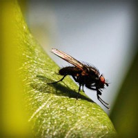 /album/leninka-on-the-road/photolia-a04-jpg/