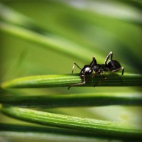 /album/leninka-on-the-road/photolia-a05-jpg/