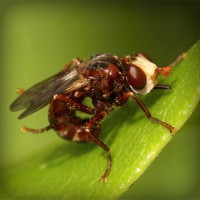 /album/leninka-on-the-road/photolia-a06-jpg/