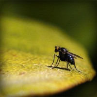 /album/leninka-on-the-road/photolia-a07-jpg/