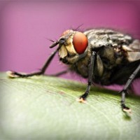 /album/leninka-on-the-road/photolia-a08-jpg/